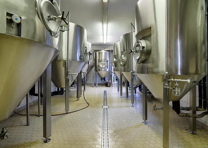 ブラウハウス ヴィッテンベルク ホテル